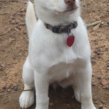 Entry image for Penny Grace