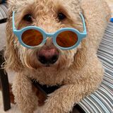 Entry image for Seamus