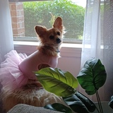 Entry image for Quiet