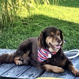 Entry image for Kate the Mate