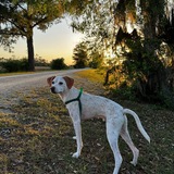 Entry image for Seymour