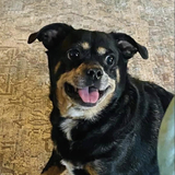 Entry image for Breezy