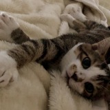 Entry image for Big Worm