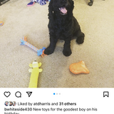 Entry image for Cooper