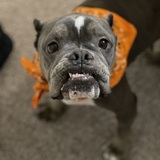 Entry image for Rosie