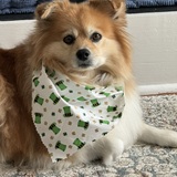 Entry image for Pepper