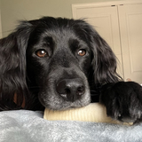 Entry image for Sully