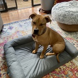 Entry image for Tyson 