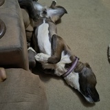 Entry image for Jiggy