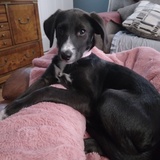 Entry image for Millie Kay