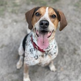 Entry image for Riggins