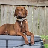 Entry image for Travis