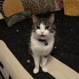 Entry image for Fleetwood