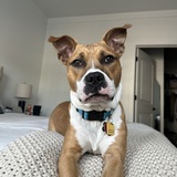 Entry image for Captain Crunch 