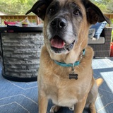 Entry image for Howard