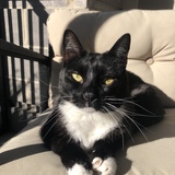 Entry image for Tucker