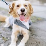 Entry image for Banksy