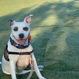 Entry image for Snuggles