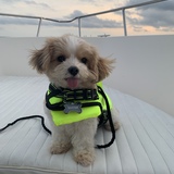 Entry image for Mater 