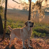 Entry image for Khaki