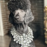 Entry image for Luna