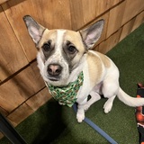 Entry image for Dwight