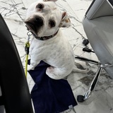 Entry image for Walter