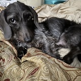 Entry image for Blue