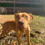 Entry image for Luka 