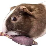 Entry image for Champagne 