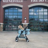 Entry image for Sadie 