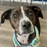 Entry image for Libby