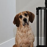 Entry image for Lexie