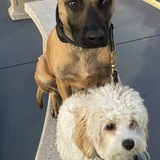 Entry image for Athena