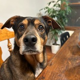 Entry image for Kiki