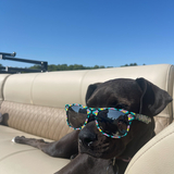 Entry image for Winter