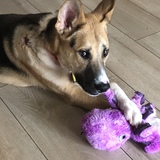 Entry image for Mick