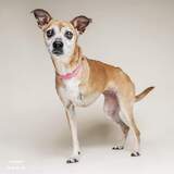 Entry image for Franny