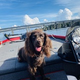 Entry image for Folly (Beach)