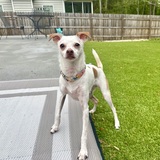 Entry image for Mellie