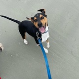 Entry image for Jeter