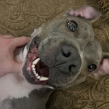 Entry image for Nera