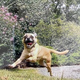 Entry image for Giroux