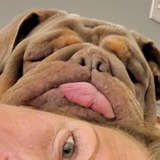 Entry image for Brickhouse