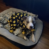 Entry image for Frank