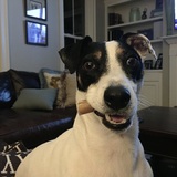 Entry image for Rainy