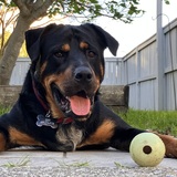 Entry image for Jeff