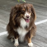 Entry image for Brady 