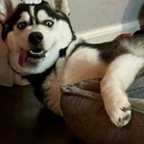 Entry image for Loki