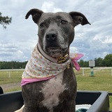 Entry image for London 